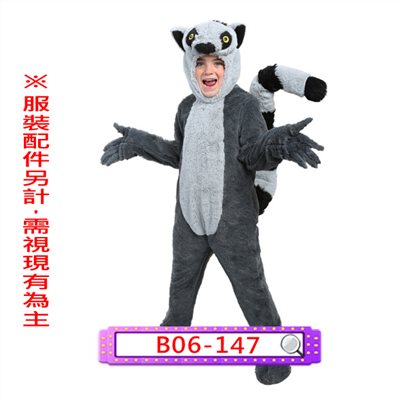 環尾狐猴