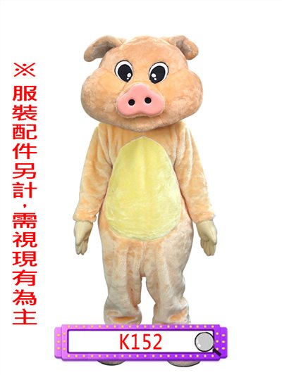橘胖豬