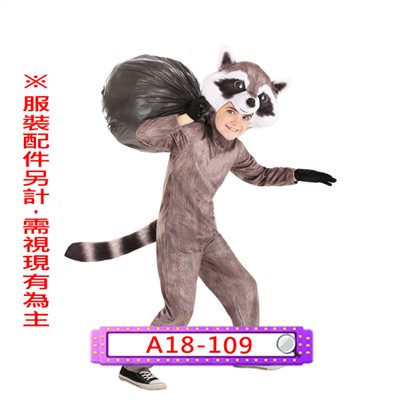 浣熊