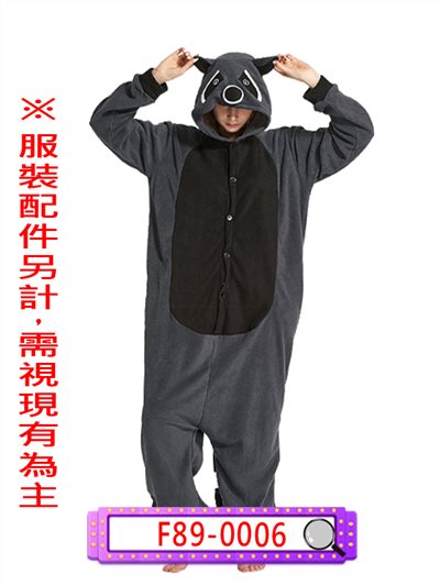 浣熊