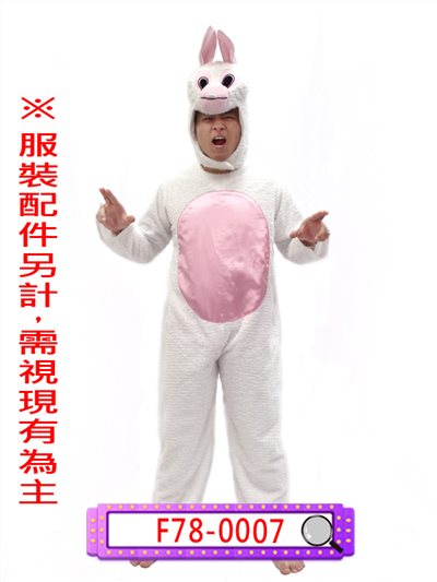 毛絨白兔