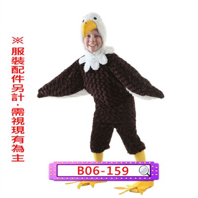 老鷹
